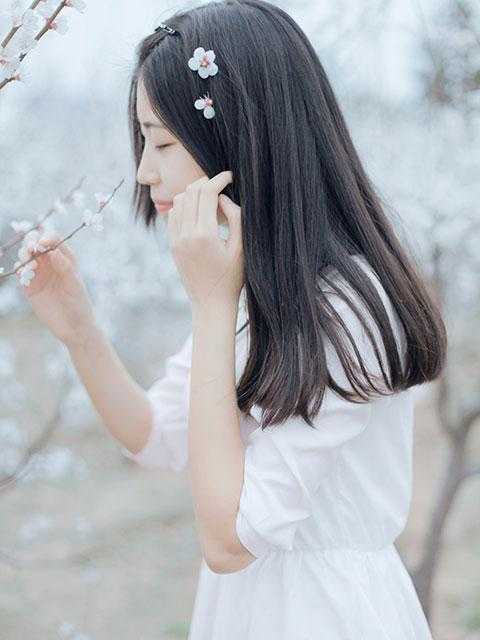 农门状元路