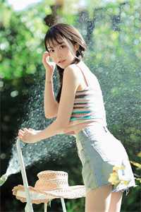 盛夏的野玫瑰