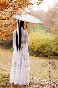 星际之血脉升级