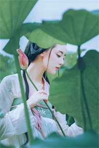穿成炮灰小师妹，这药人她不当了！