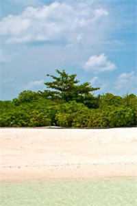 重生大夏，我被皇兄当成眼中钉