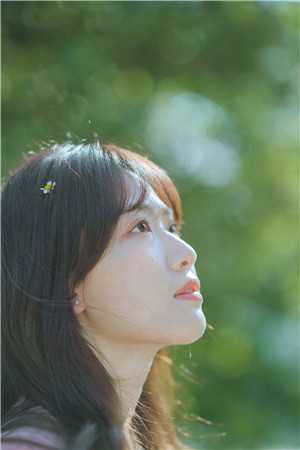 开局射雕，东邪传人