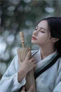 这个领主异常能打