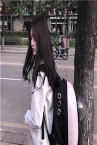冒牌皇帝，后宫三千佳丽送上门