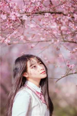王者归来