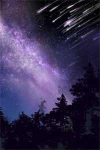 爱上夜游神