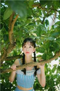 完美犯罪