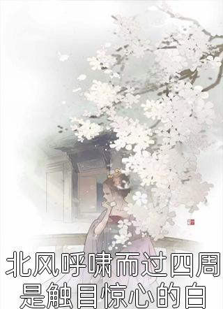 我在管理局当耗材
