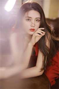 首辅大人的宠妾