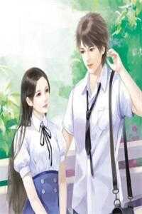 重生八零：我娶了迪斯科辣妹