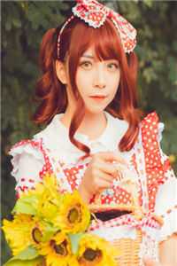 盛宠表姑娘