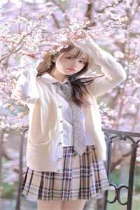 逍遥护花高手