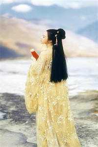 夫人从深渊来