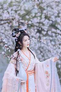 穿越古代成美人，靠生子宠冠后宫