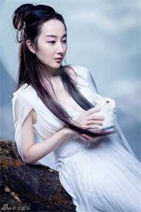 倾城太子妃：今天又被太子追着跑