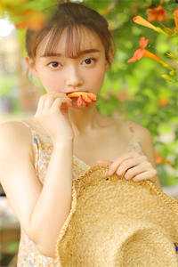 红楼之公子逍遥