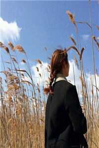 转生白虎，我成了女帝契约神兽