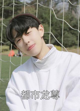 皇婿归来