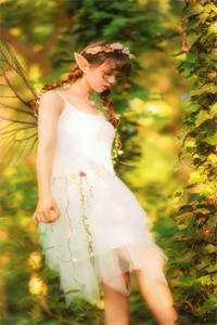 我的郑漂那些年