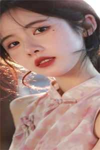 南来北往
