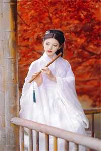 穿越诸天万界从少年歌行开始