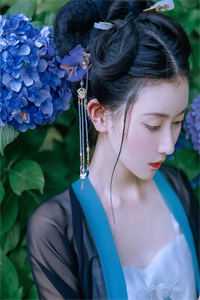 帝婿归来