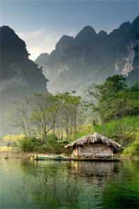 来岁昭昭