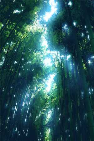 暗恋那年夏天的她