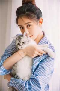 扶摇袅袅