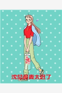 神奇宝贝之希罗娜的女朋友