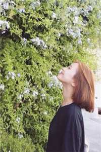 重生八零，二婚娇妻被宠上天