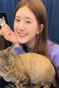 齐天大圣临世录