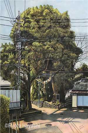 大女虎变