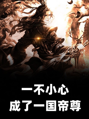 权力巅峰：从银行职员到封疆大吏