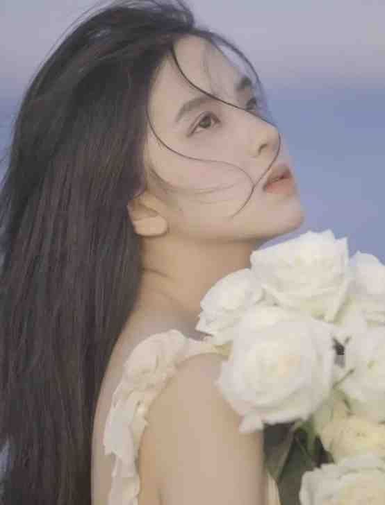 盛夏未终：与你共赴长夏