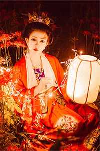 陆营长，我要回家了