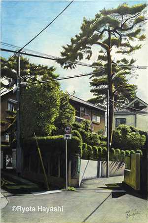 遥望晚星