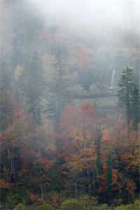 男友在生日当天官宣新女友