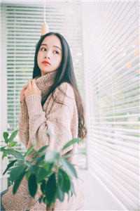 和老婆一起重生高考前