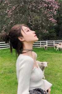 心燃烬成灰，爱已无处寻