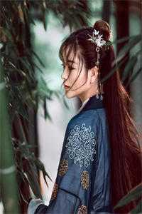 颠覆历史，暴君才是真明君