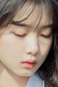 未婚妻为了竹马的狗取消我们十次婚礼