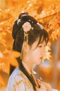 等风吻云雾