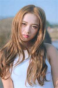 四合院玩废众禽