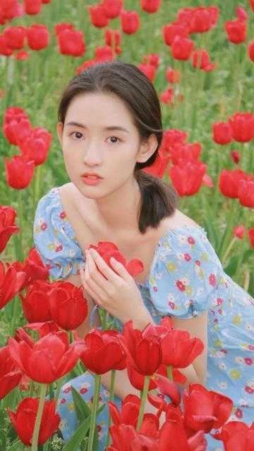 灯烬长明：锈照三千