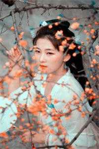 焚烬倾慕与你