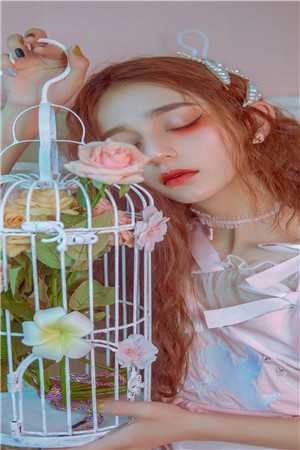 人面桃花长相忆