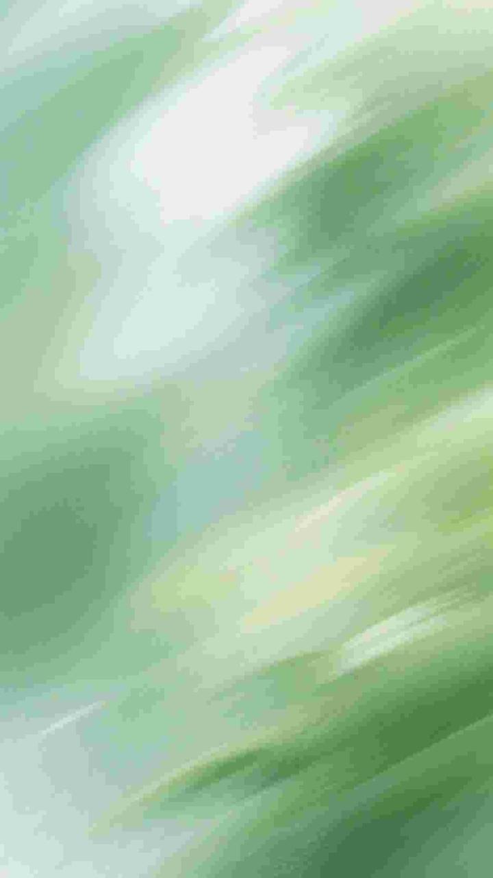 霍与暮雪誓已倾